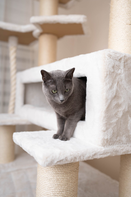 Relipet RL2523V2 Extra Large Cat Tree – Classic Beige Edition | Heavy Duty Tower for Maine Coons