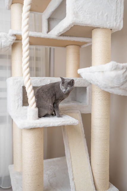 Relipet RL2524V2 200cm Tall Ultra-Large Square Cat Tree in Beige – Heavy Duty Multi-Level Activity Center for Maine Coons & Multiple Cats