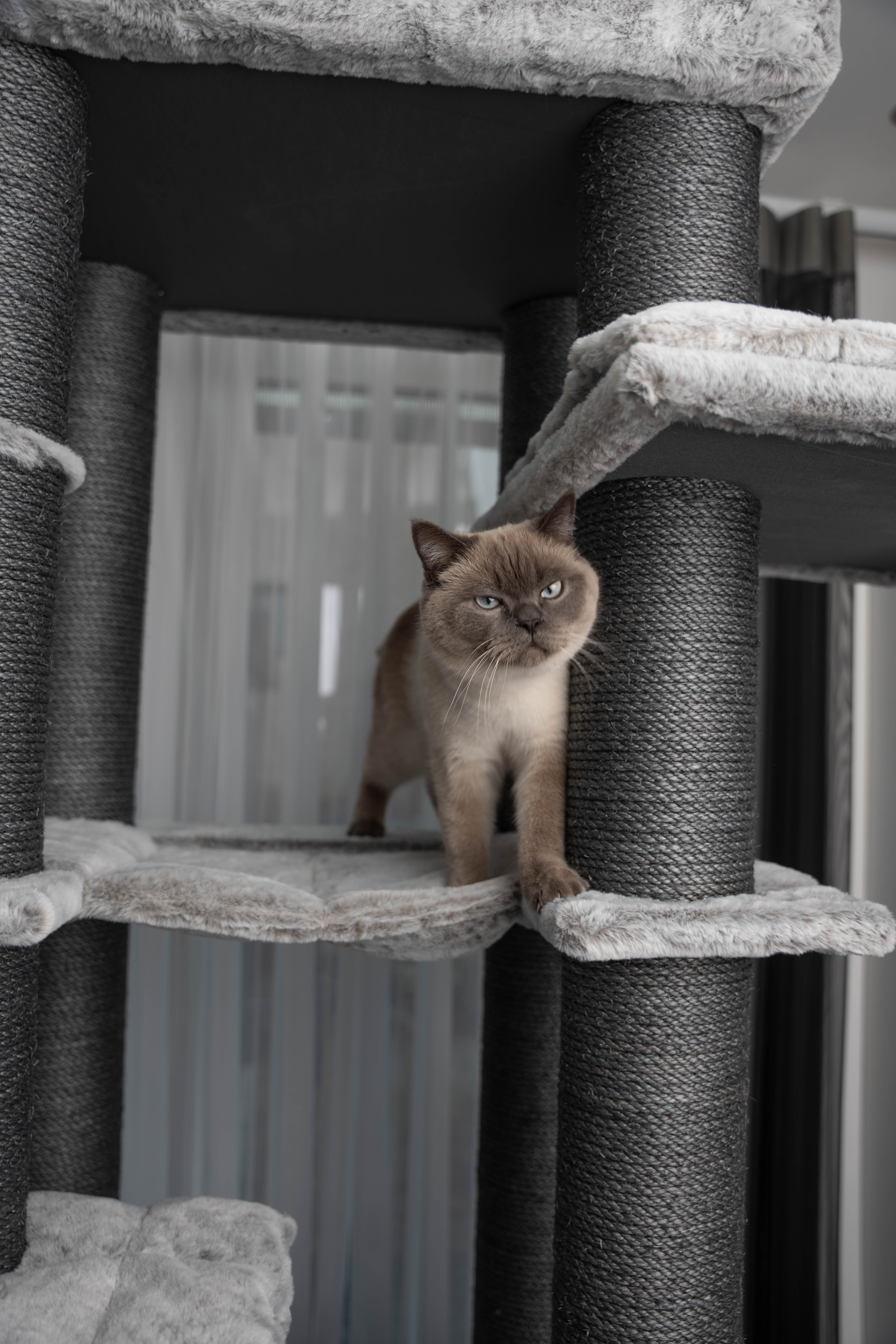 Relipet RL2525V3 197cm Large Rectangular Cat Tree in Grey – Heavy Duty Multi-Level Activity Center for Maine Coons & Multiple Cats