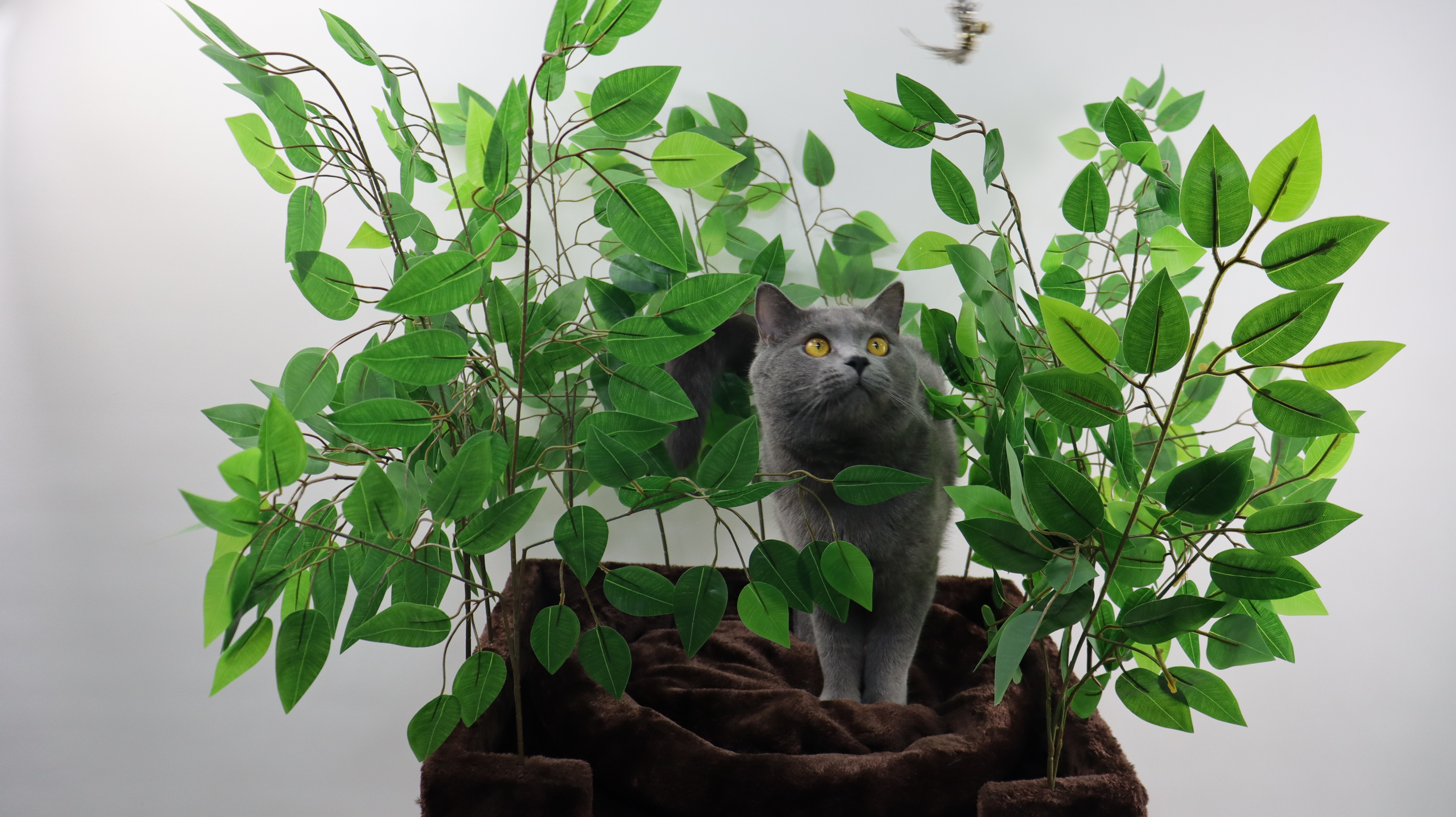 Relipet RLN021 Jungle Themed 140cm Tall Cat Tree with Green Leaves - Multi-Level Cat Activity Center with Plush Condo & Grass Mat