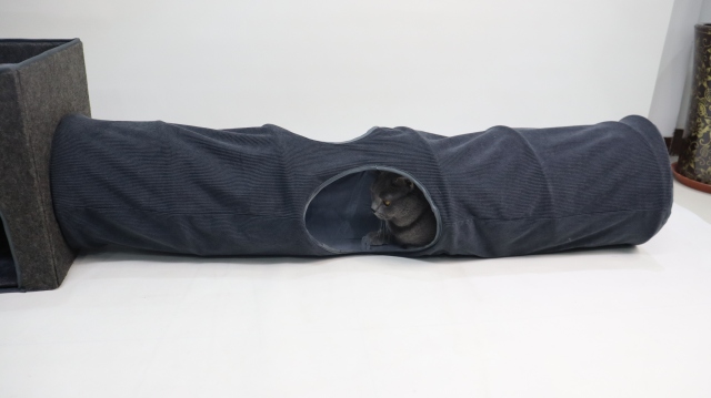 Relipet RLF006 Foldable Cat Cave & Tunnel Set with Sisal Scratch, Gray
