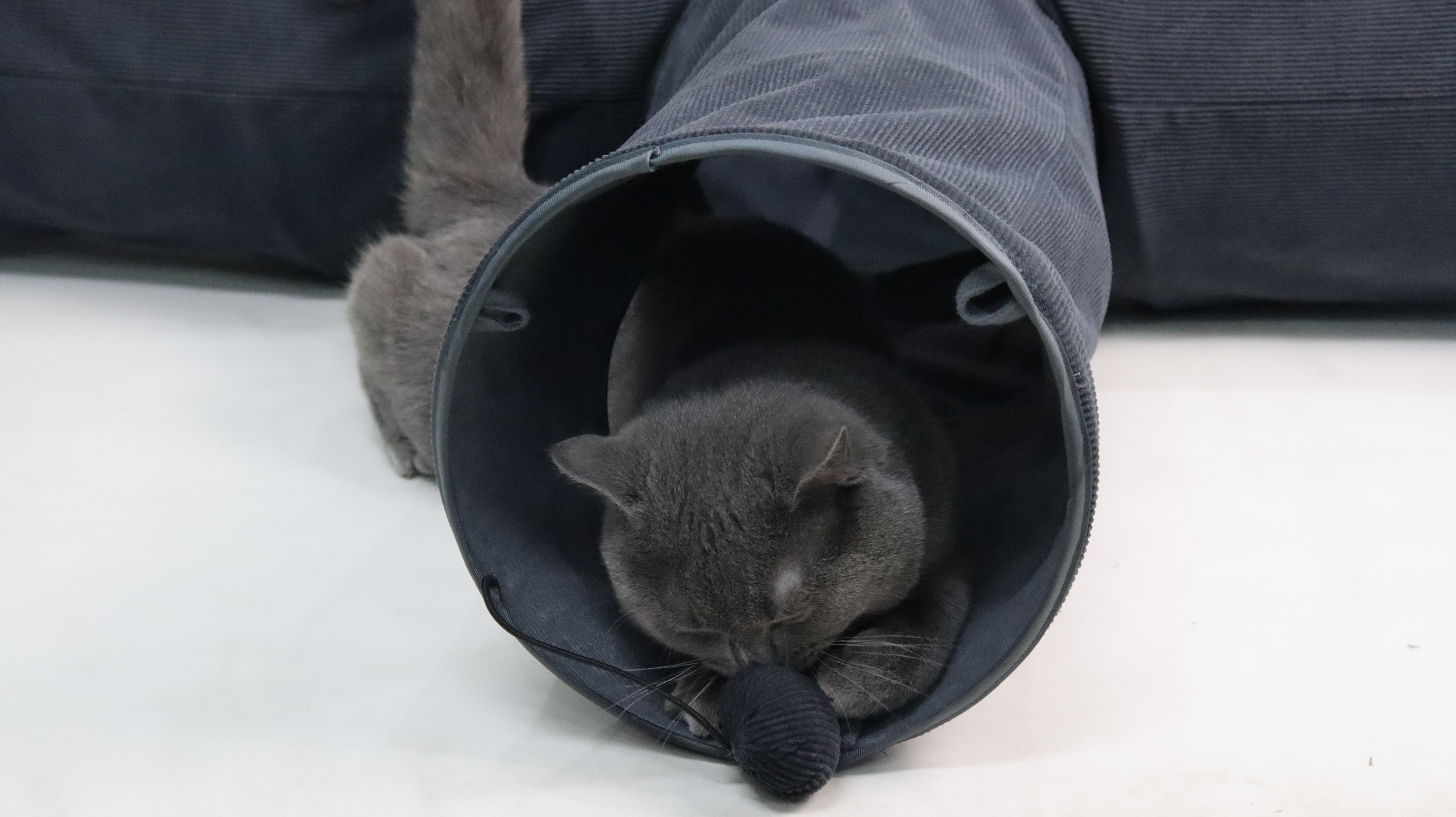 Relipet RLF006 Foldable Cat Cave & Tunnel Set with Sisal Scratch, Gray
