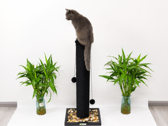 Relipet RL2312 Cobble Stone Base Scratching Post for Cats - Stable & Stylish