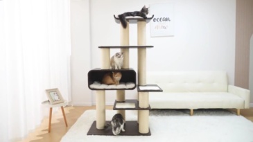 RL2813V2 Premium Multi-Cat Cat Tree 172cm With Spacious Hideaway