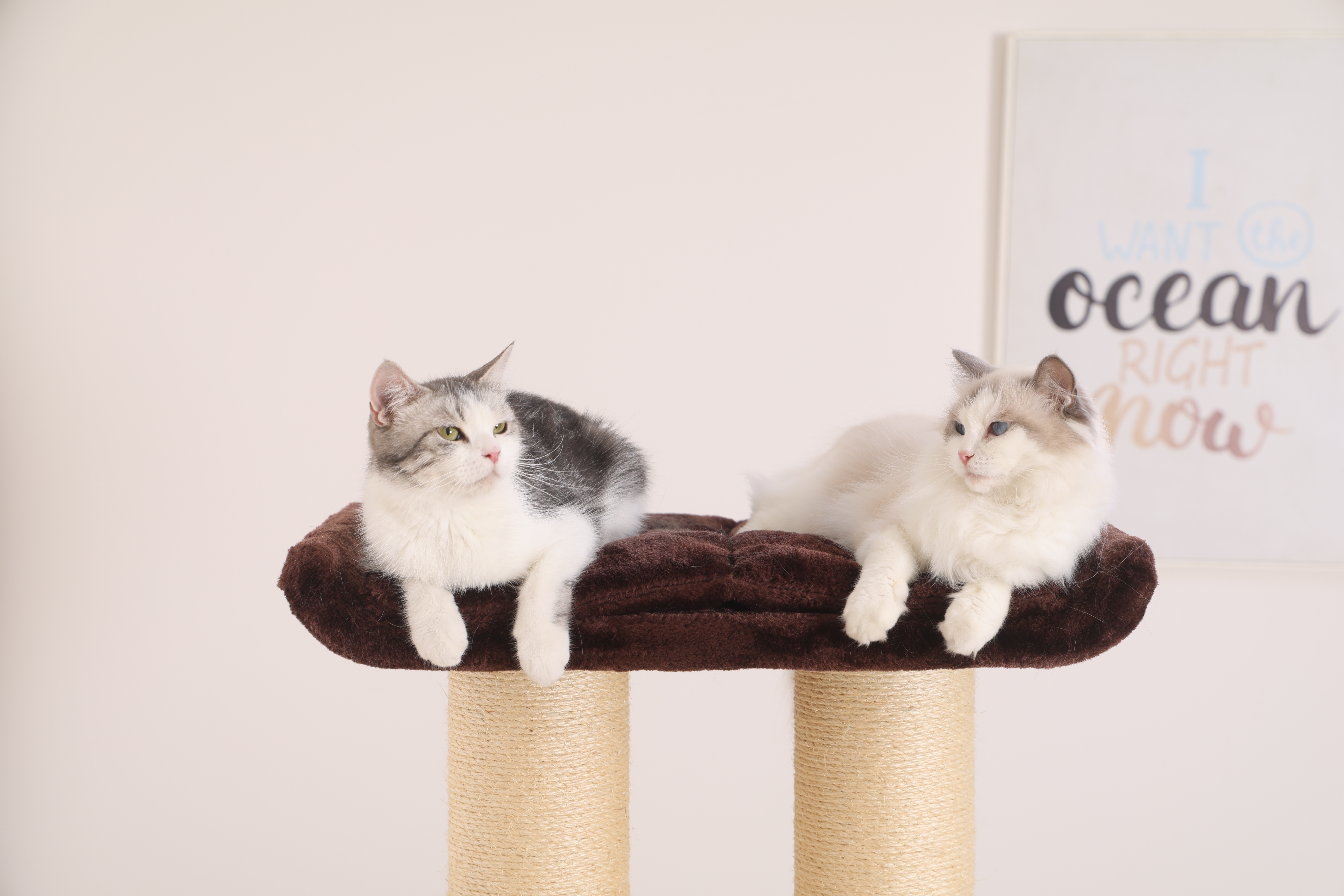 Relipet RL2856 Premium Cat Tree for Indoor Cats - 67" Multi-Level Activity Center with Spacious Condo, Thick Sisal Scratching Posts & Rope, Stable Base for Large Cats
