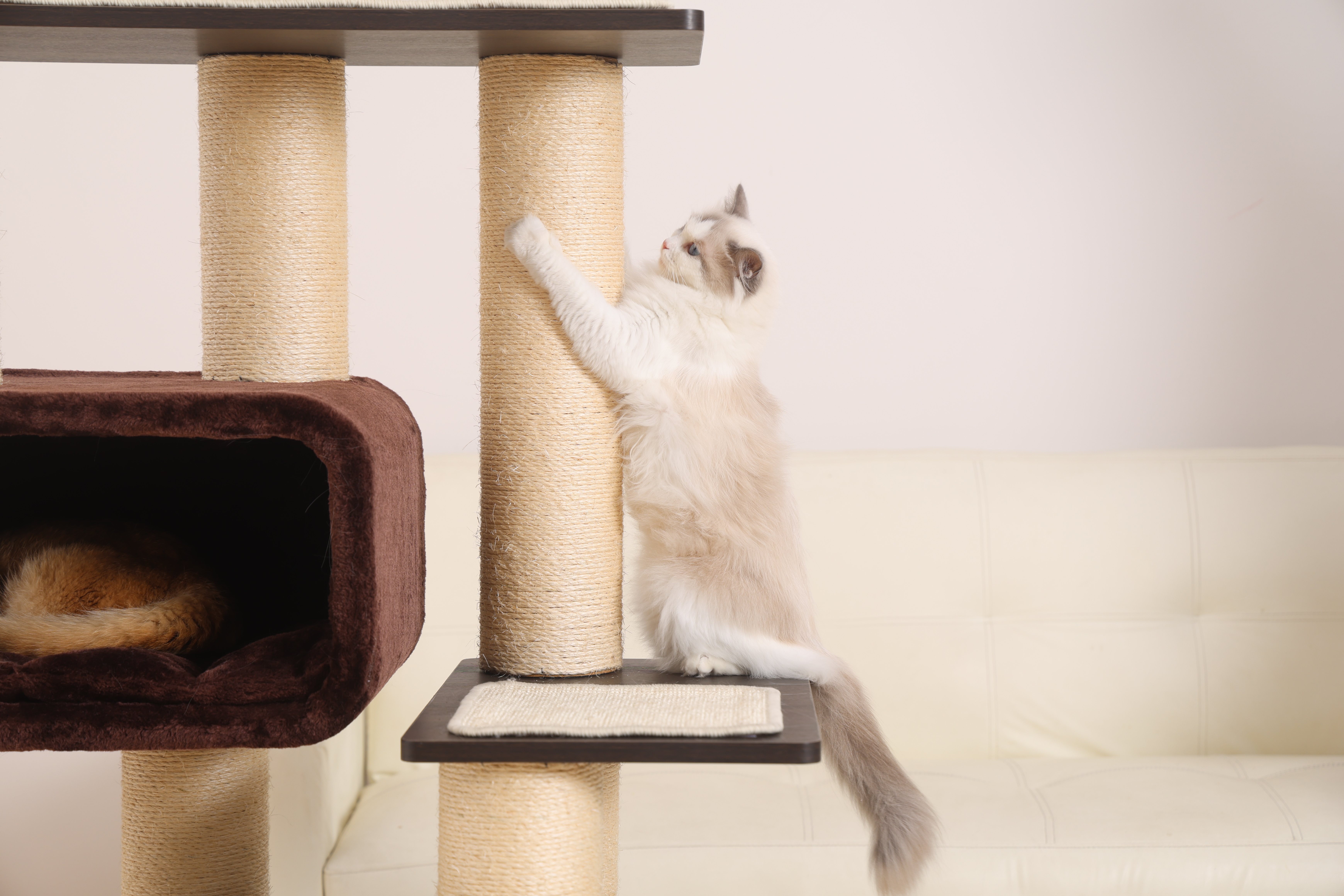 Relipet RL2856 Premium Cat Tree for Indoor Cats - 67" Multi-Level Activity Center with Spacious Condo, Thick Sisal Scratching Posts & Rope, Stable Base for Large Cats