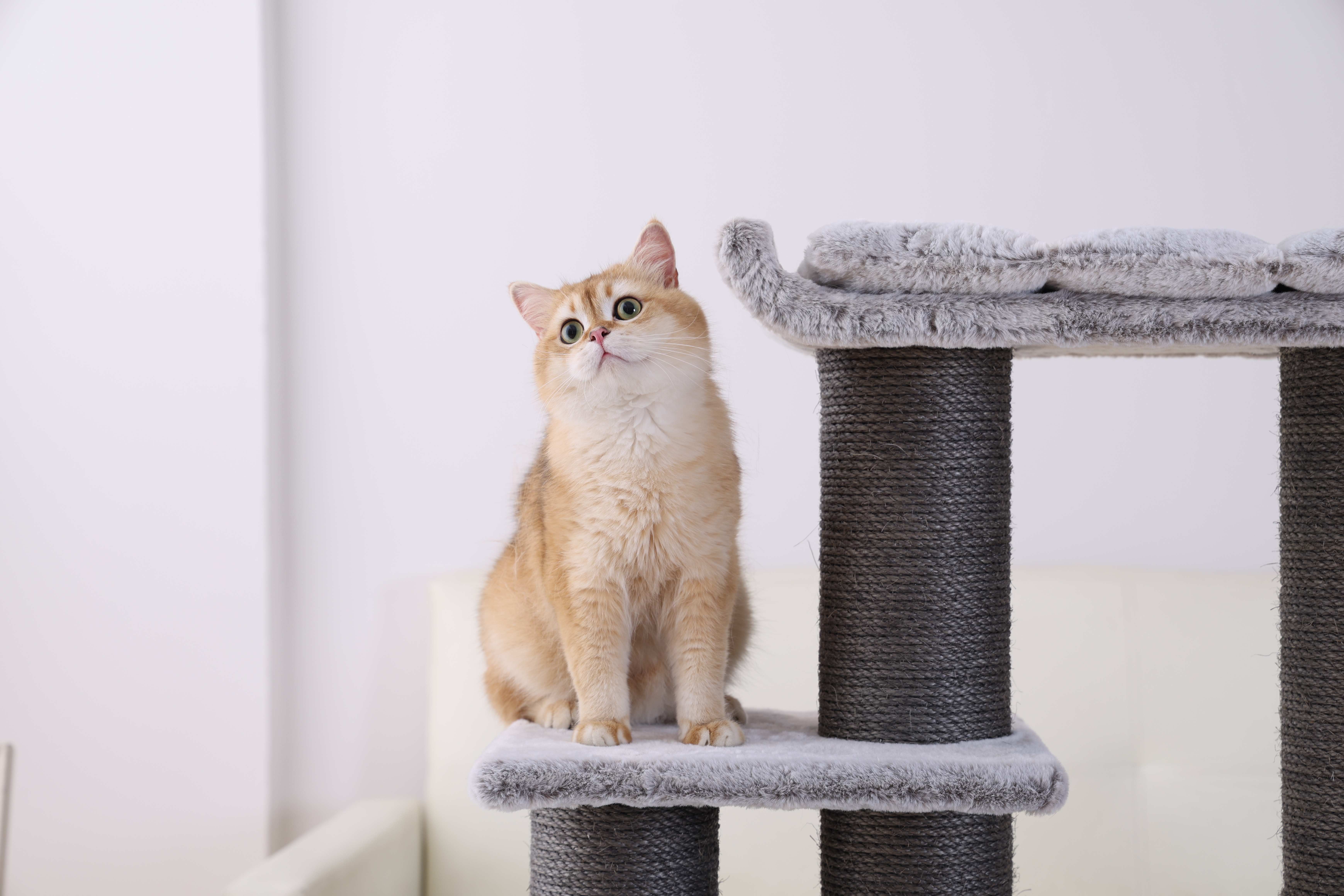 RL2811V3 Premium Cat Tree 109cm Grey  for Large Cats & Multi-Cat Homes