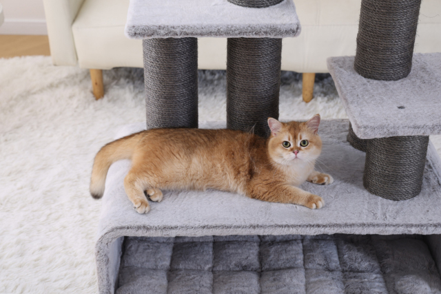 RL2811V3 Premium Cat Tree 109cm Grey  for Large Cats & Multi-Cat Homes