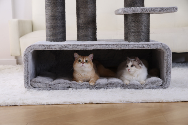 RL2811V3 Premium Cat Tree 109cm Grey  for Large Cats & Multi-Cat Homes