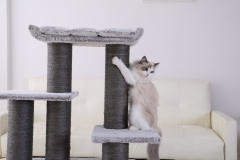 RL2811V3 Premium Cat Tree 109cm Grey  for Large Cats & Multi-Cat Homes
