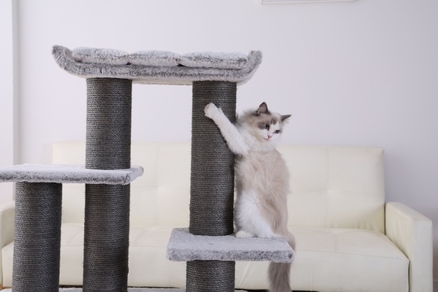 RL2811V3 Premium Cat Tree 109cm Grey  for Large Cats & Multi-Cat Homes