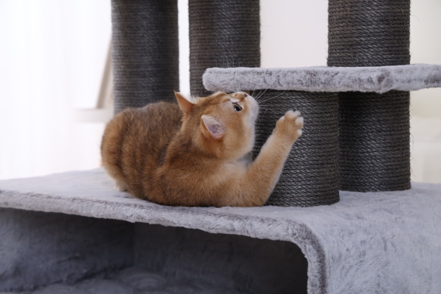 RL2811V3 Premium Cat Tree 109cm Grey  for Large Cats & Multi-Cat Homes