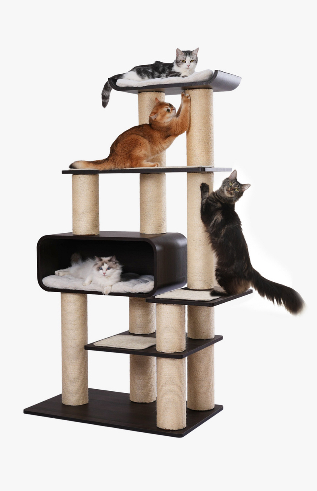RL2813V2 Premium Multi-Cat Cat Tree 172cm With Spacious Hideaway