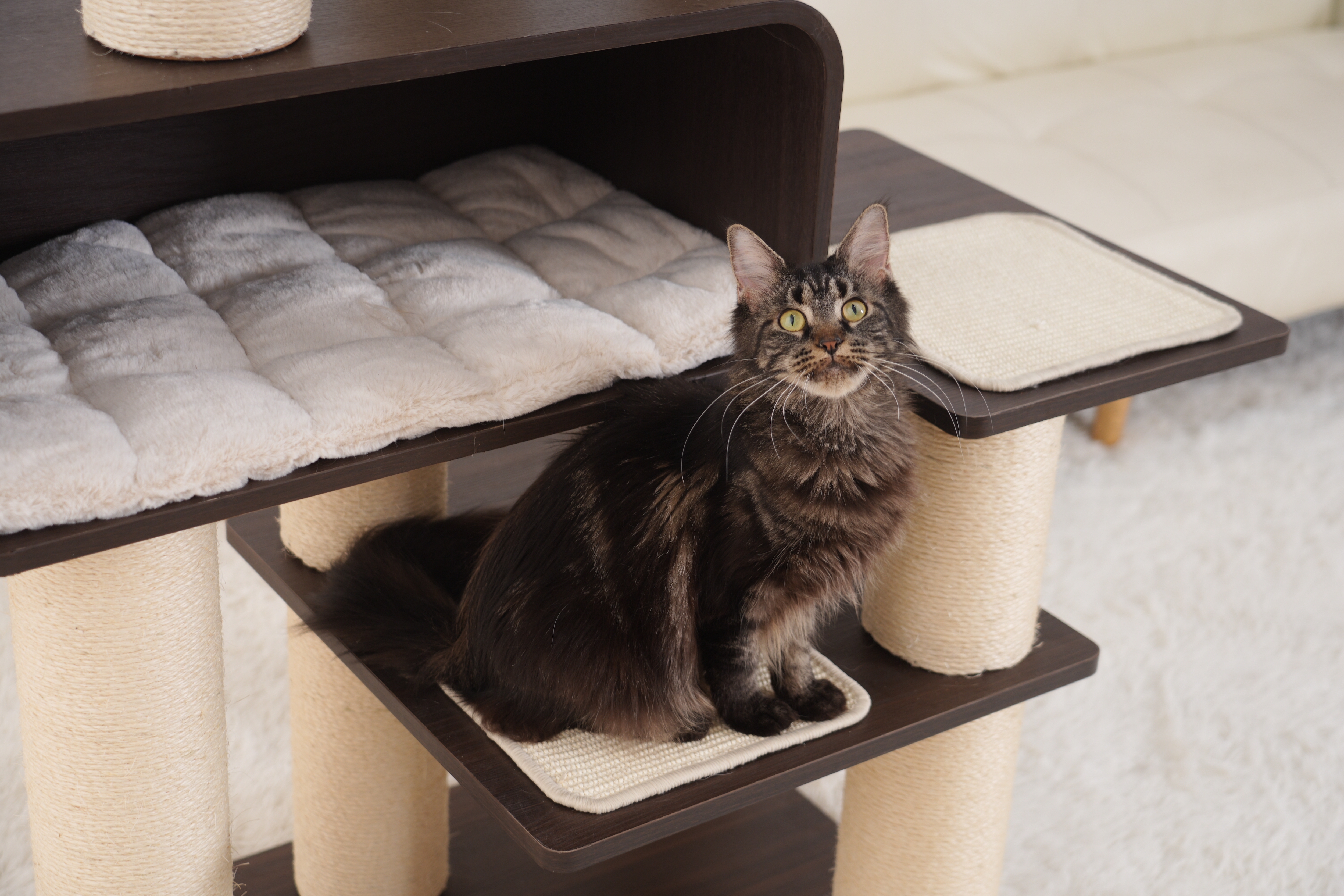 RL2813V2 Premium Multi-Cat Cat Tree 172cm With Spacious Hideaway