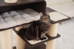 RL2813V2 Premium Multi-Cat Cat Tree 172cm With Spacious Hideaway