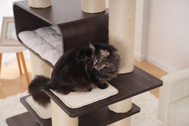 RL2813V2 Premium Multi-Cat Cat Tree 172cm With Spacious Hideaway