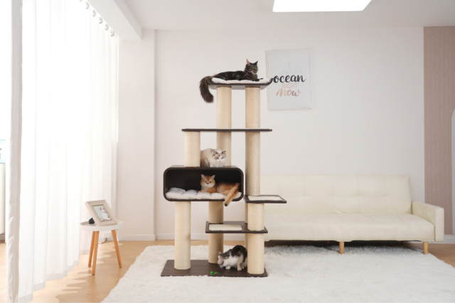 RL2813V2 Premium Multi-Cat Cat Tree 172cm With Spacious Hideaway