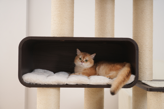RL2813V2 Premium Multi-Cat Cat Tree 172cm With Spacious Hideaway