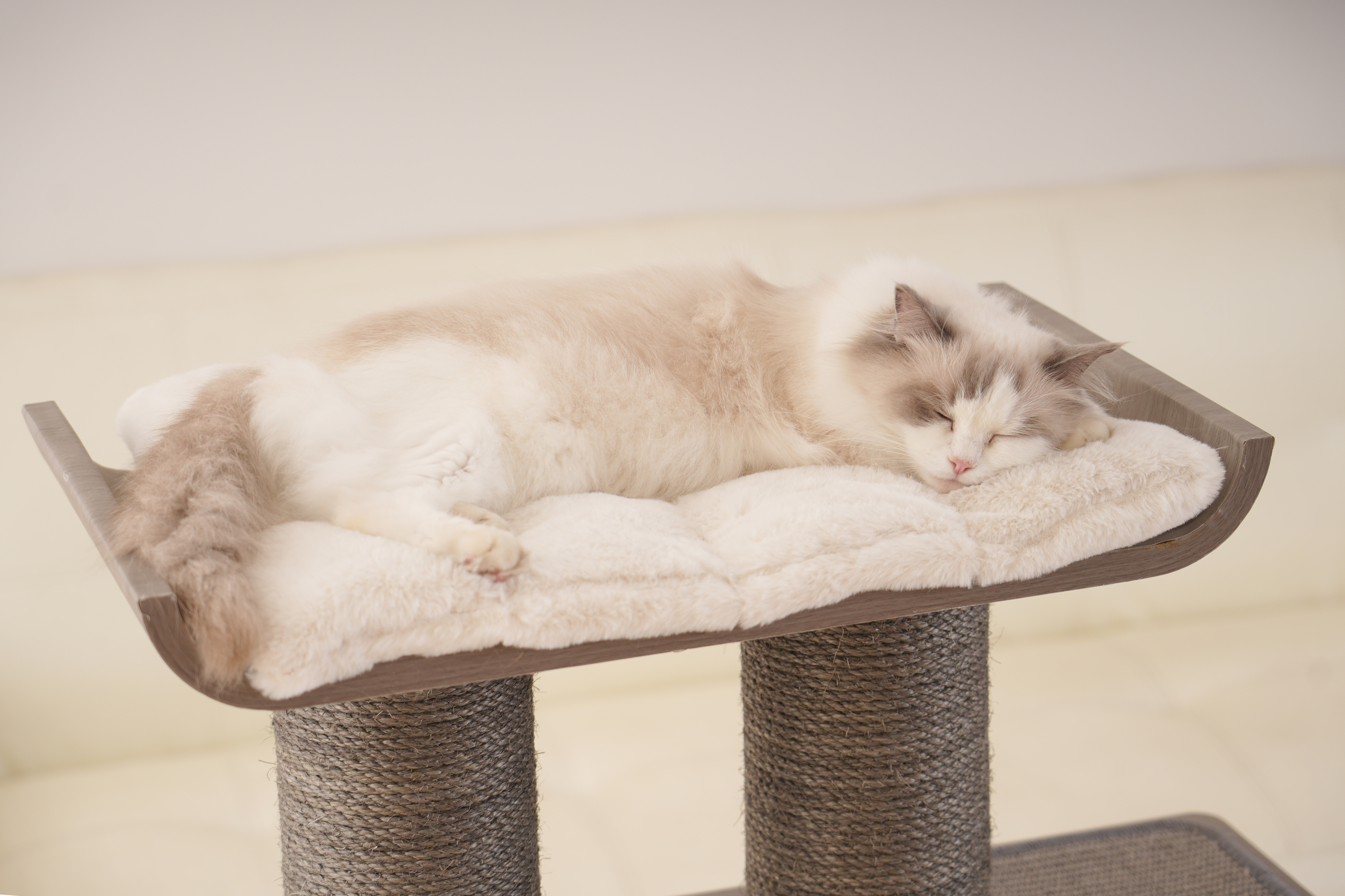 Relipet Premium Cat Tree RL2812V3 – 90x50x109cm Multi-Level Activity Center with 15cm Sisal Posts, Removable Pads & Faux Fur
