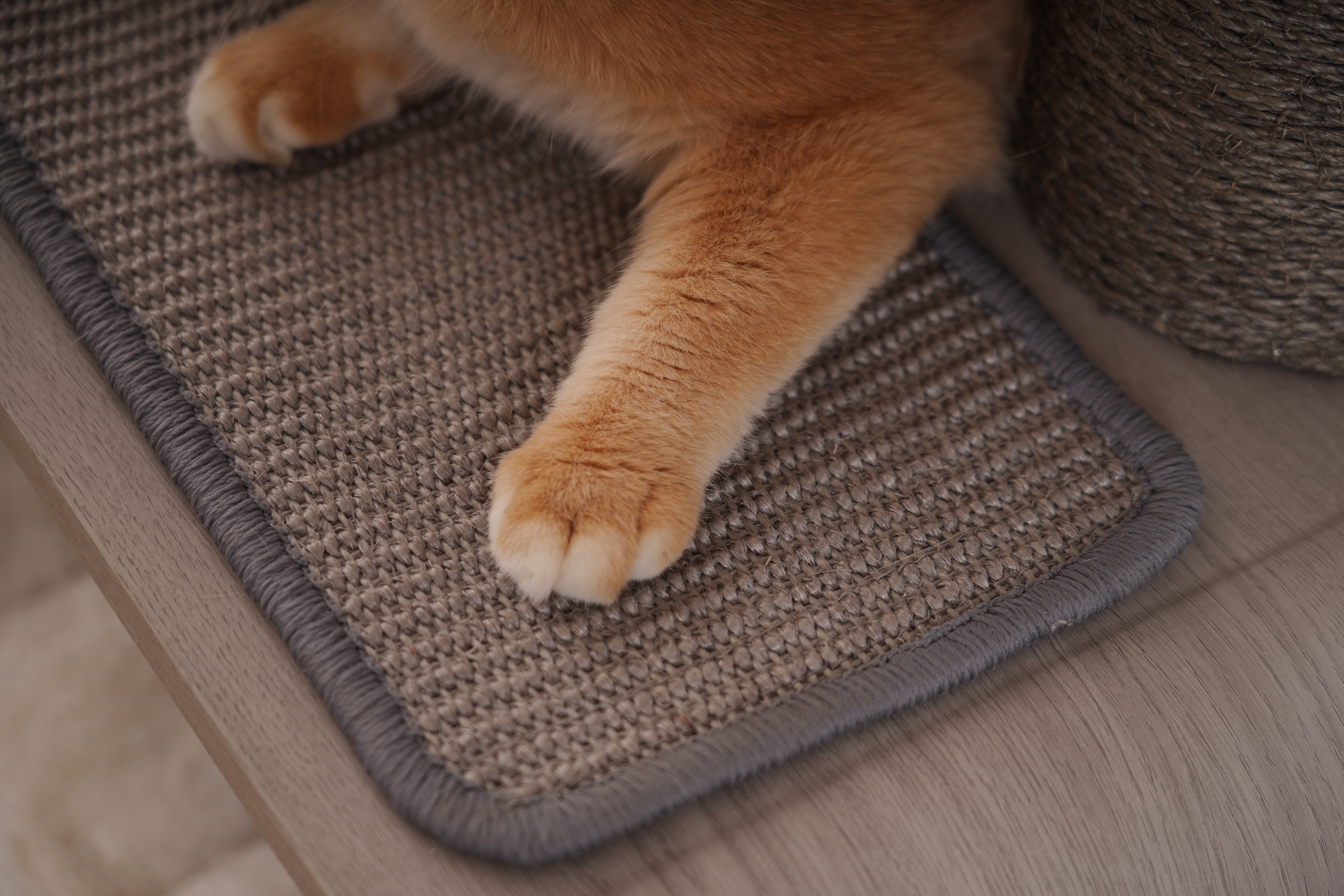 Relipet Premium Cat Tree RL2812V3 – 90x50x109cm Multi-Level Activity Center with 15cm Sisal Posts, Removable Pads & Faux Fur
