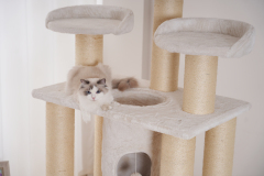 Relipet RL2814V2 Large Premium Cat Tree 188cm – 15cm Sisal Posts, 600g Faux Rabbit Fur, Thick Particle Board, Foldable Cat Tunnel