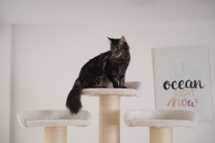 Relipet RL2814V2 Large Premium Cat Tree 188cm – 15cm Sisal Posts, 600g Faux Rabbit Fur, Thick Particle Board, Foldable Cat Tunnel