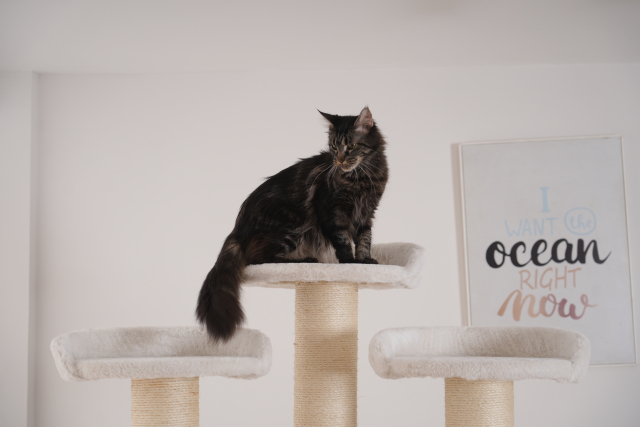 Relipet RL2814V2 Large Premium Cat Tree 188cm – 15cm Sisal Posts, 600g Faux Rabbit Fur, Thick Particle Board, Foldable Cat Tunnel