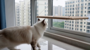 Relipet RL2875 Window Mounted Cat Bed - 55x35cm Heavy Duty Cat Window Perch with 6 Color Options (Supports OEM)