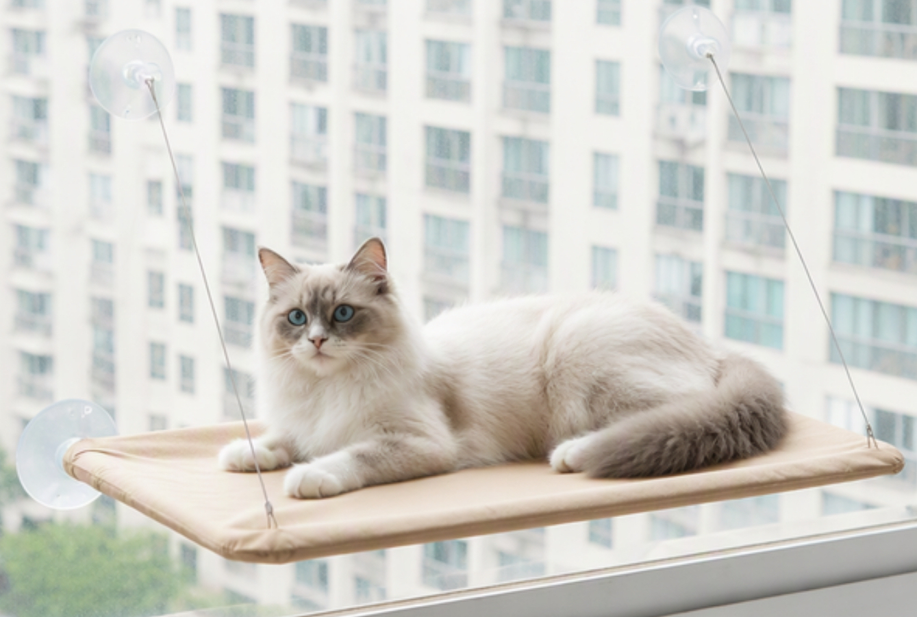 Relipet RL2875 Window Mounted Cat Bed - 55x35cm Heavy Duty Cat Window Perch with 6 Color Options (Supports OEM)