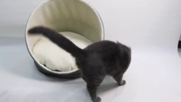 Relipet Wholesale 2-in-1 Foldable Pet Cave Bed | RL2378 Customizable Sherpa Fleece Cat & Small Dog Bed with Reversible Washable Cushion – Bulk Order Supplier
