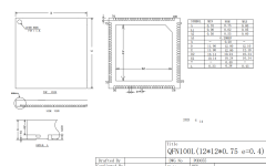 QFN12X12-100L,WanYing Chip Packaging & Testing Electronics Co., Ltd.,QFN12X12-100L