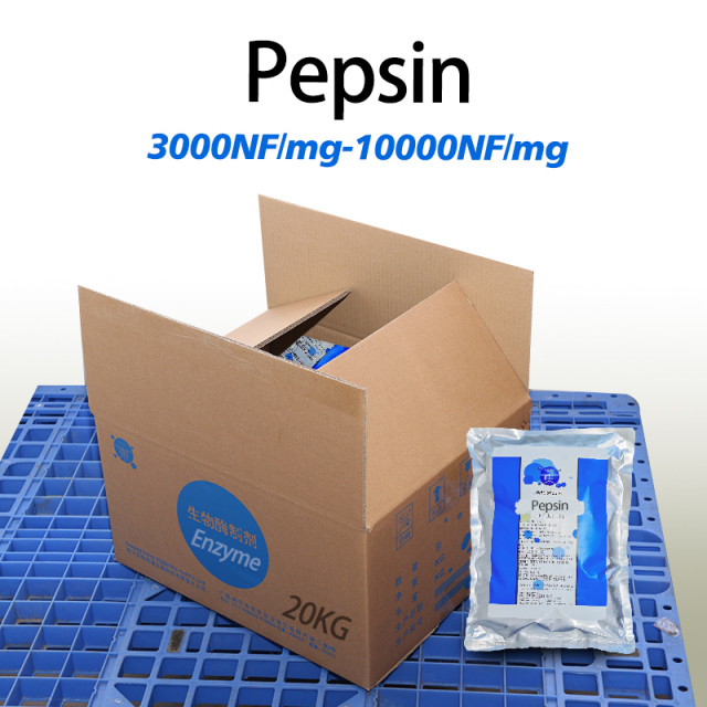 Pepsin-Enzym in medizinischer Qualität, 10000 NF/mg, kundenspezifisch, Lebensmittelqualität