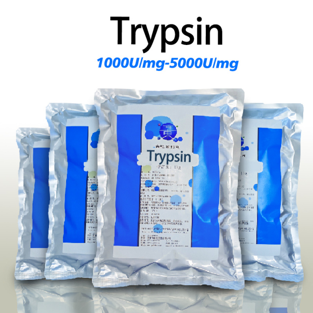 Trypsin 1000–5000 U/mg für die Lebensmittelverarbeitung – kundenspezifische Anpassung der Enzymaktivitätsspezifikationen