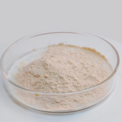 Food grade beta glucanase Enzyme For food And Feed Processing
