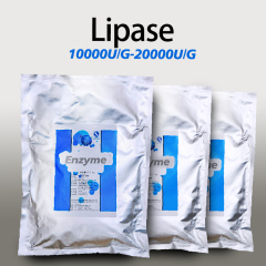 Lipasa en polvo para repostería alimentaria, enzima lipasa en polvo personalizada, soluble en agua.