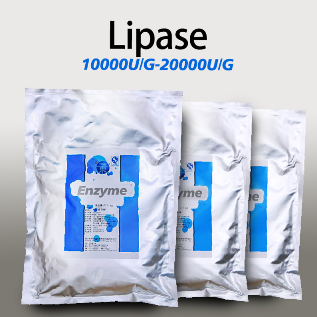 Lipasa en polvo para repostería alimentaria, enzima lipasa en polvo personalizada, soluble en agua.
