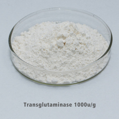Transglutaminase 1000 U/g FSSC22000 MUI Koscher-Systemzertifizierung, kundenspezifische Enzymaktivitätsspezifikationen