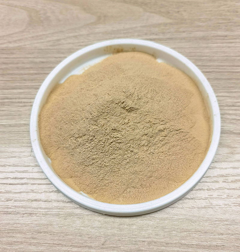 Rhamnosidase-Enzym in Lebensmittelqualität zur Entbitterung von Zitrusfrüchten und zur Aromaverbesserung von Wein