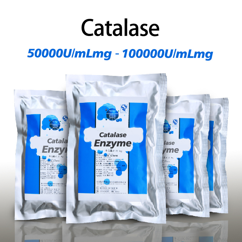 Food grade Catalase Enzyme For dairy products And fermented food