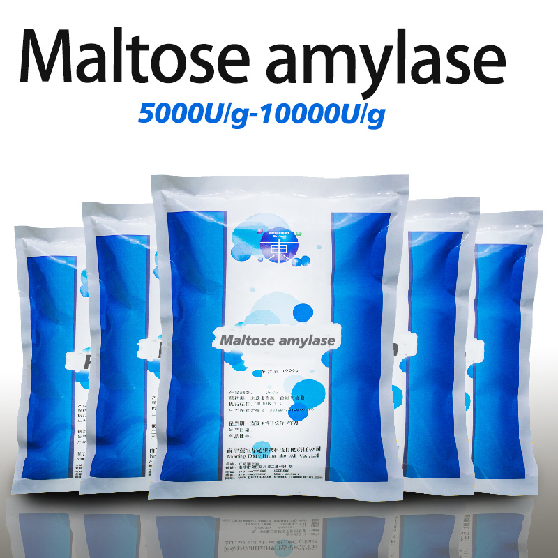 Maltose-Amylase-Enzym in Lebensmittelqualität für Lebensmittel und zum Backen von Brot