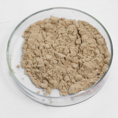 5'-Phosphodiesterases enzyme use in industry of yeast extracts and pharmaceutical