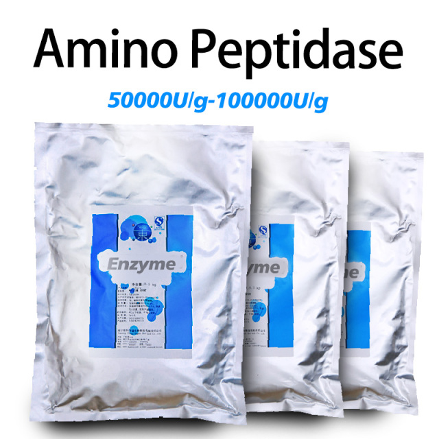 Amino Peptidase food grade used in food processing and condiment production removes bitter peptides