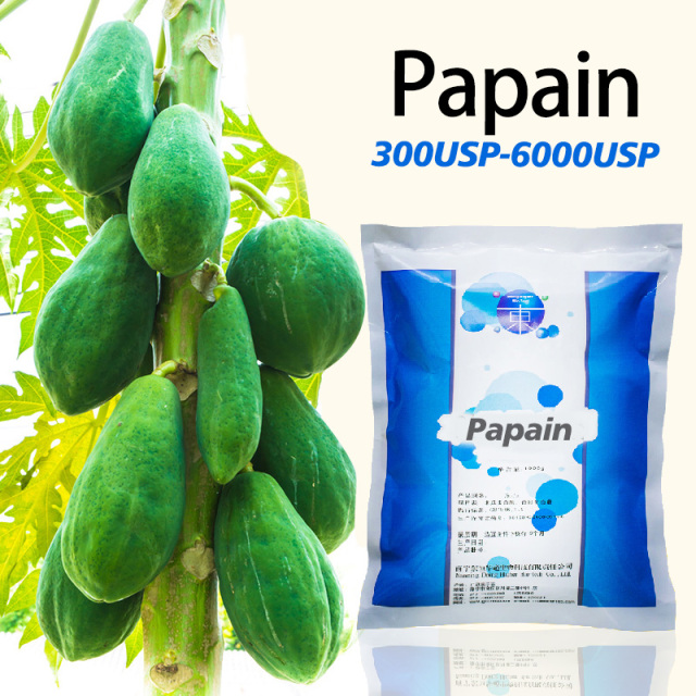 papaya protease 1000TU/MG Used for protein food processing