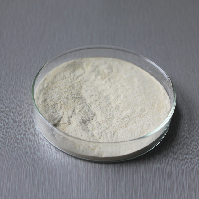 Bromelain pineapple enzyme 2400GDU use in industry of Dietary supplements