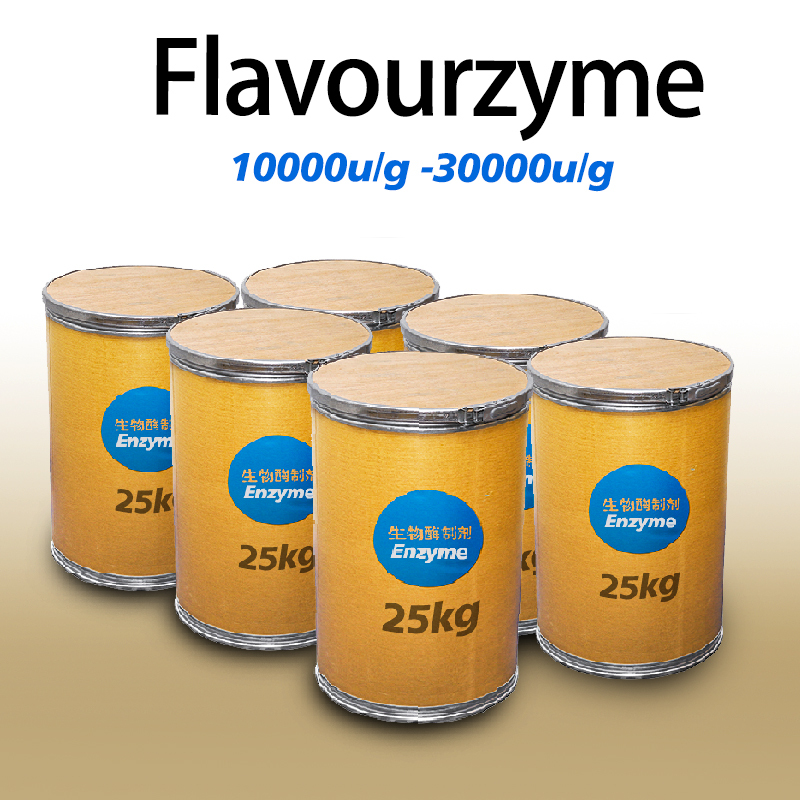 Flavourzyme enzyme For Protein Peptide Processing Weakening Bitterness