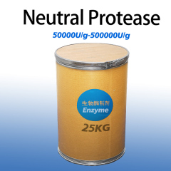 Subtilisins proteolytic enzymes Used for Protein processing Providing enzyme preparation sample