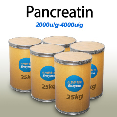 Proteolytic enzymes in pancreatic juice use in industry of proteolysis