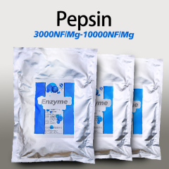 Stomach protease Customize food grade and refined grade Send samples for testing
