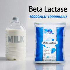 Beta Lactase food Used for lactose free milk and milk powder