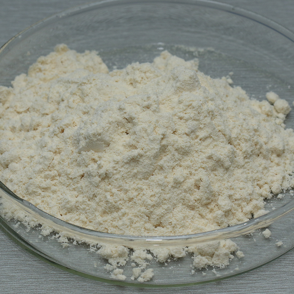 Fungal alpha amylase enzyme use in industry of bake bread